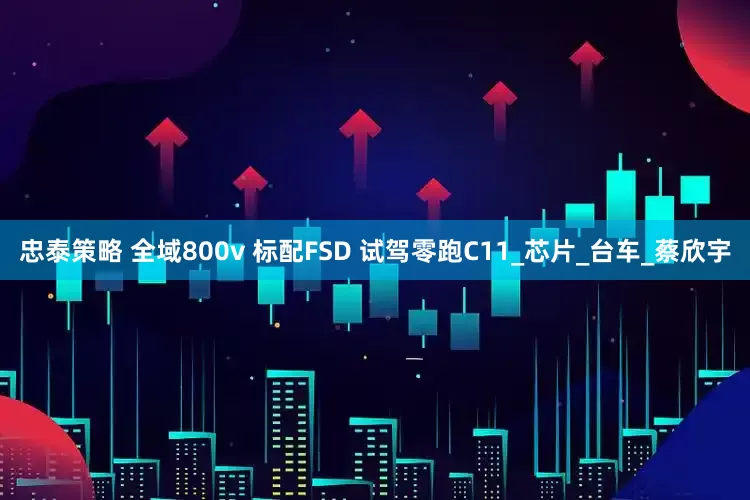 忠泰策略 全域800v 标配FSD 试驾零跑C11_芯片_台车_蔡欣宇