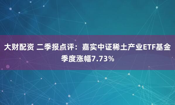 大财配资 二季报点评：嘉实中证稀土产业ETF基金季度涨幅7.73%