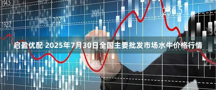启盈优配 2025年7月30日全国主要批发市场水牛价格行情