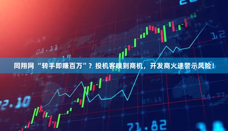 同翔网 “转手即赚百万”？投机客嗅到商机，开发商火速警示风险！