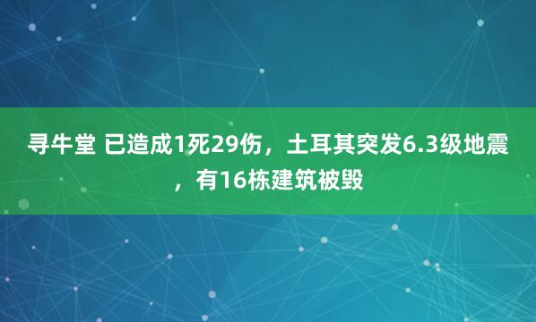 寻牛堂 已造成1死29伤，土耳其突发6.3级地震，有16栋建筑被毁